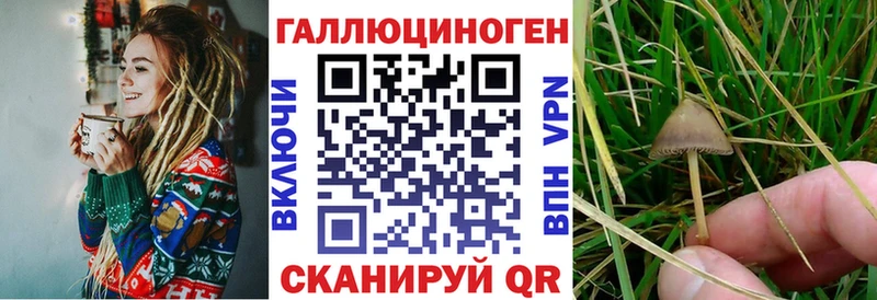 как найти наркотики  mega как войти  Псилоцибиновые грибы ЛСД  Реутов 